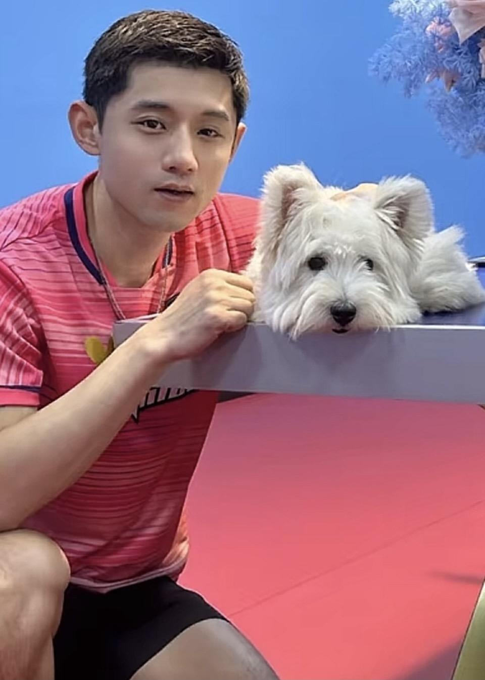 韩国队横扫奥地利队,张继科惊艳四座 韩国队横扫奥地利队,张继科惊艳四座