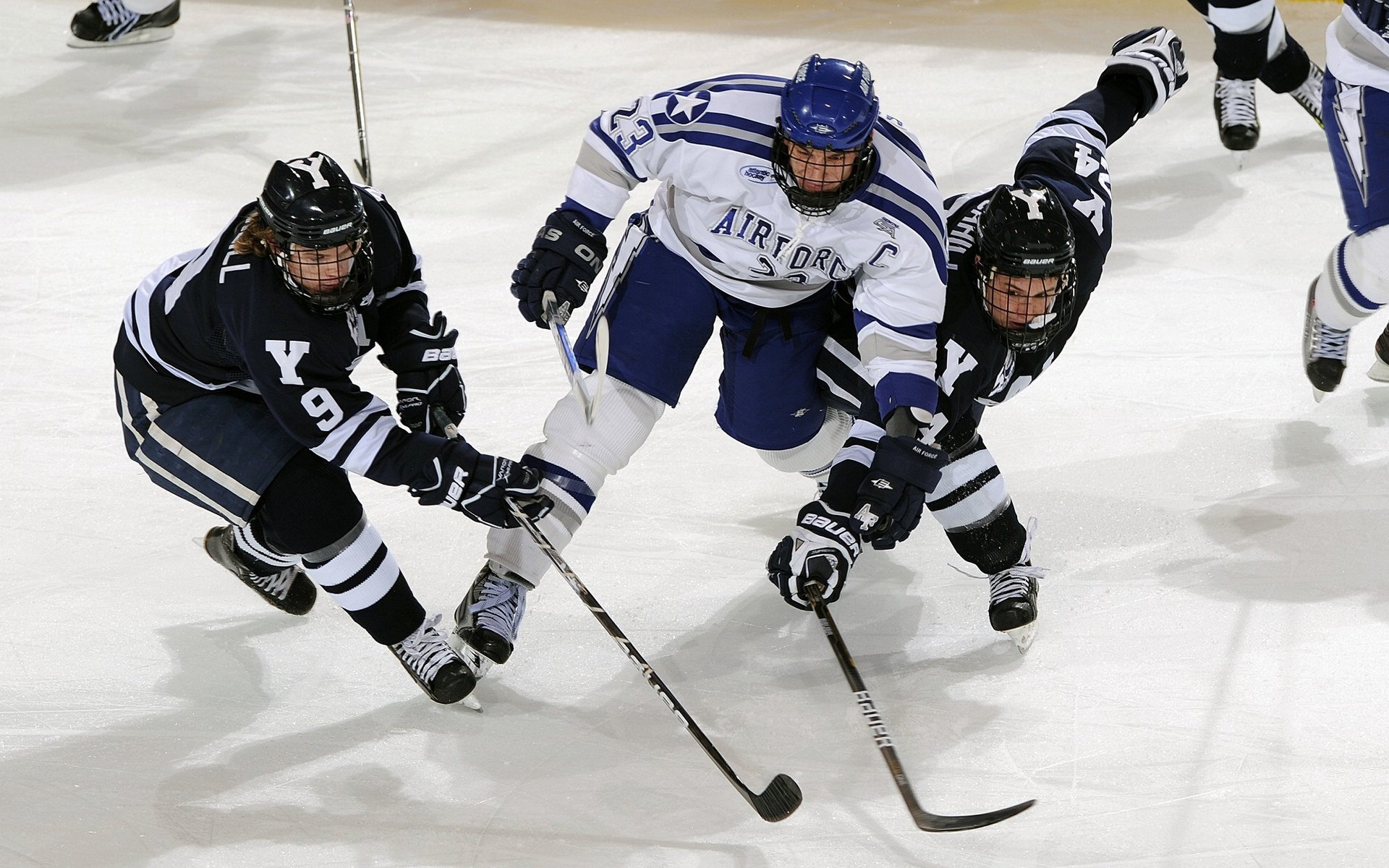 从CBA到NBA再到世界之巅,辽宁精神、浓眉时刻与篮球世界的奇妙联结