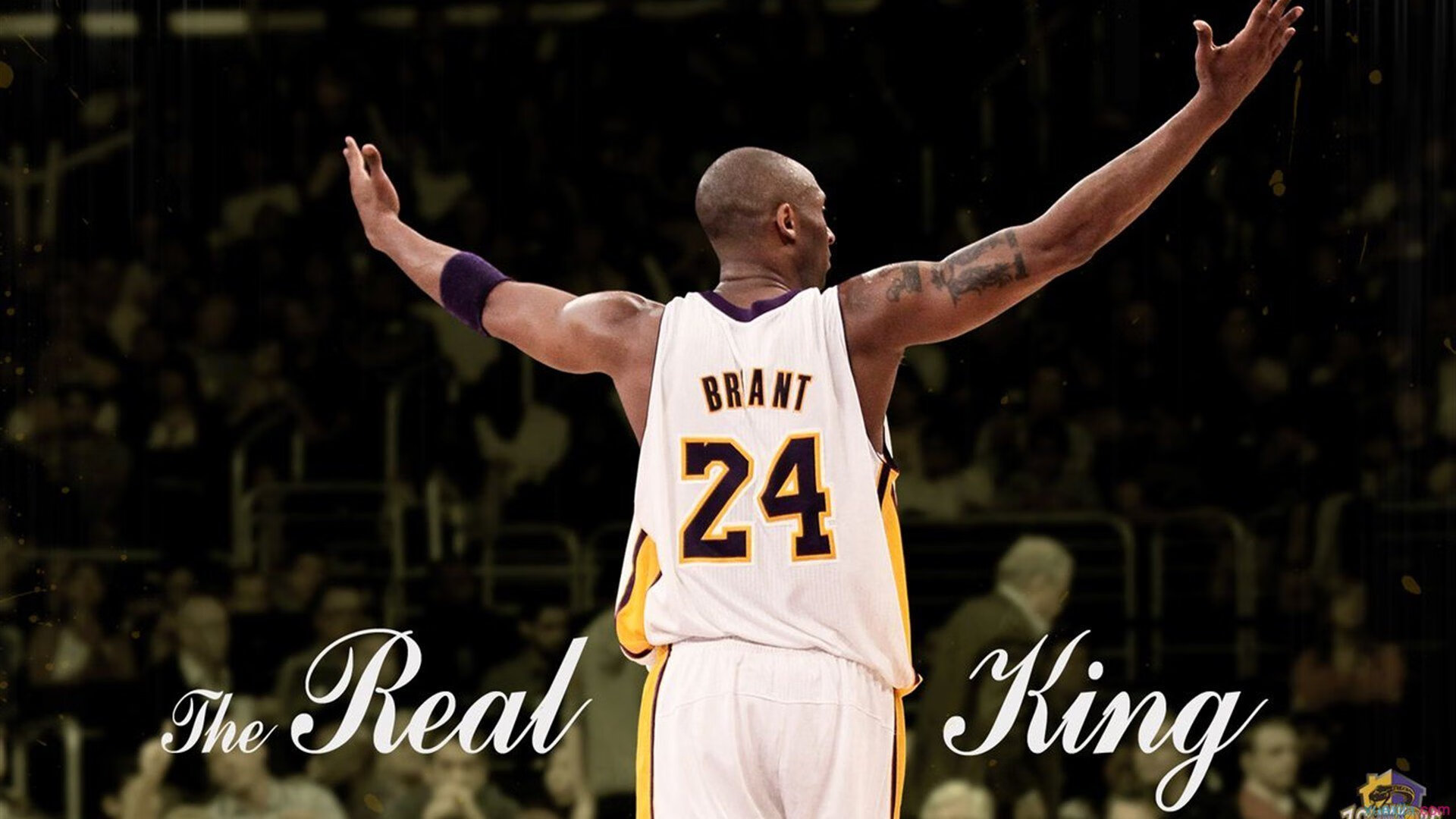 孤星破晓，格纳布里与那场定义唯一的胜利